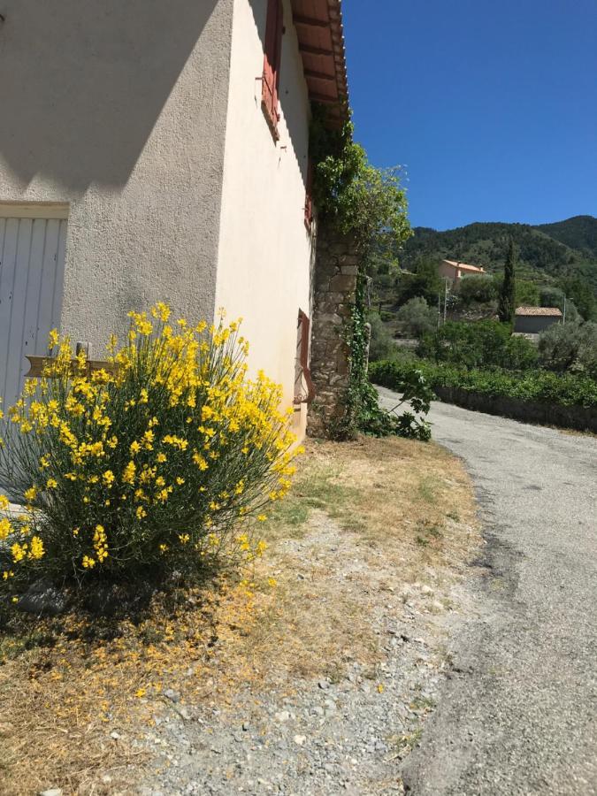 La Ferme Des Cailletiers Chez Marco Lucéram Exterior foto